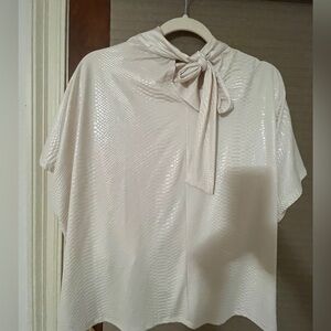 Trendy Boutique Shimmering Cream Blouse with Bow
